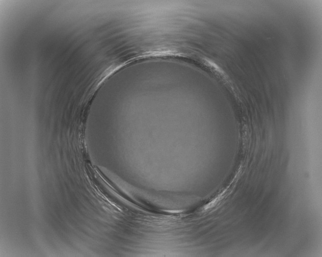 X0000059841361200510241427