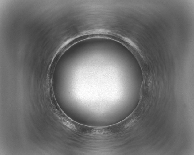 X0000059841364200510241426