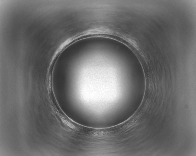 X0000059841366200510241426