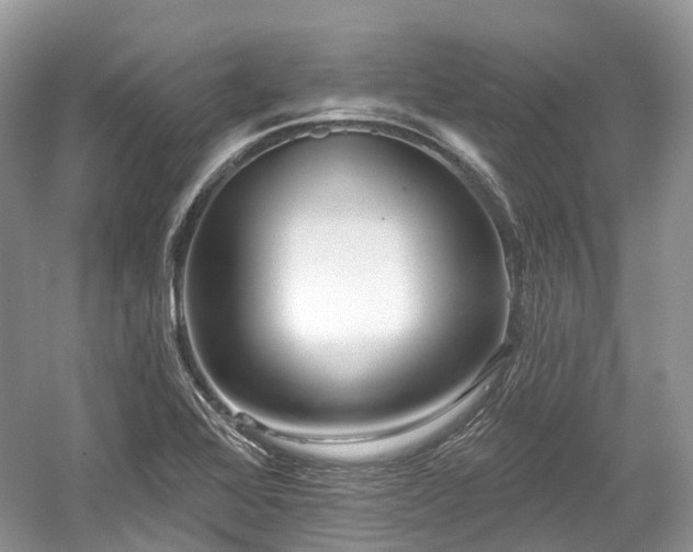 X0000059841368200510241426