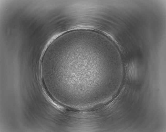 X0000059841371200510241426
