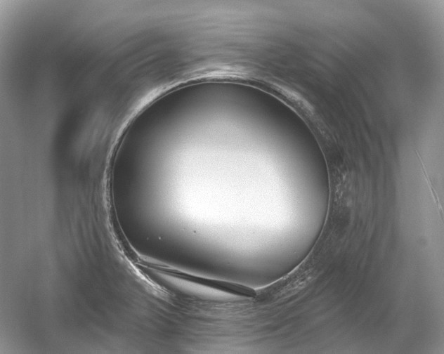 X0000059841375200510241426