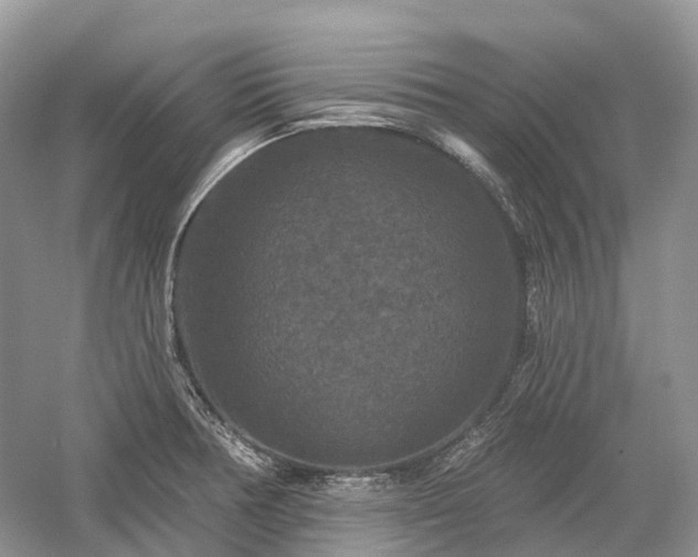 X0000059841378200510241426