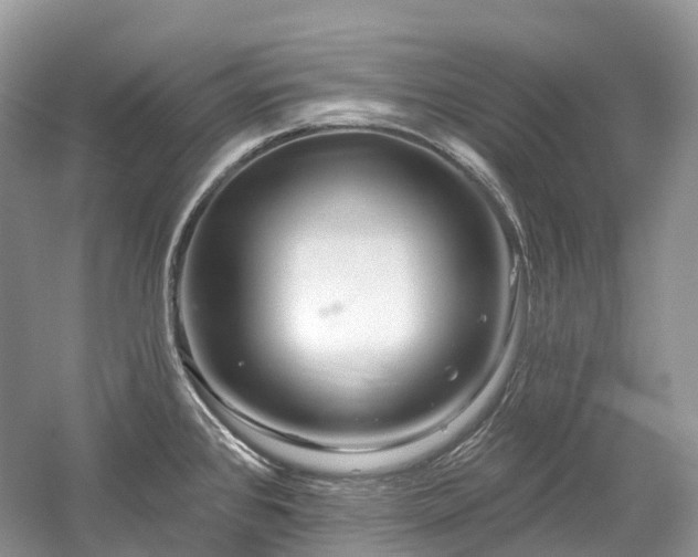 X0000059841384200510241426
