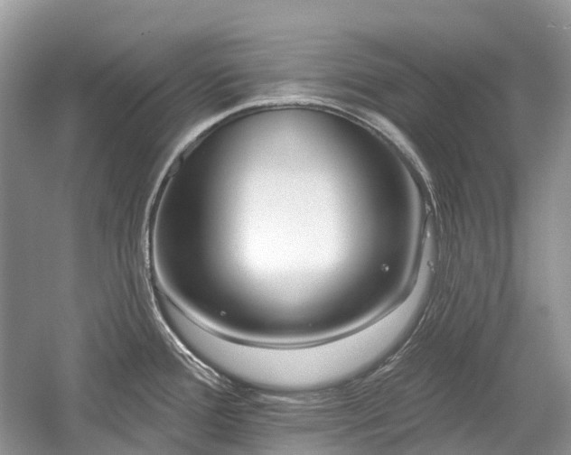 X0000059841388200510241426