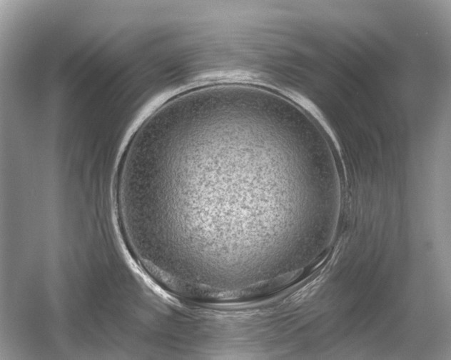 X0000059841389200510241426