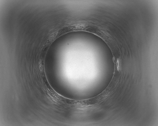 X0000059841395200510241425