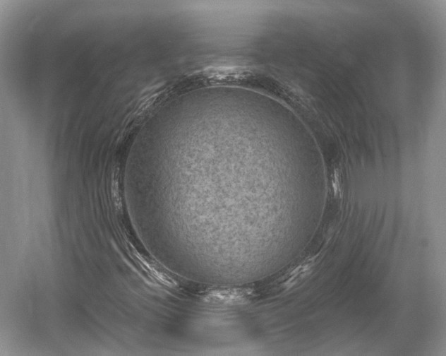 X0000059841396200510241425