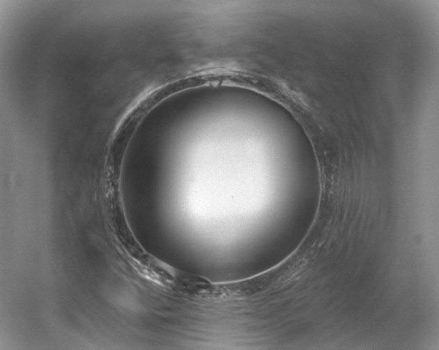 X0000059841400200510241425
