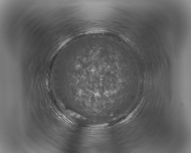 X0000059841401200510241425