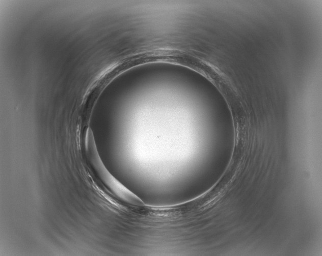 X0000059841402200510241425