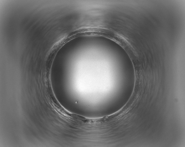 X0000059841403200510241425