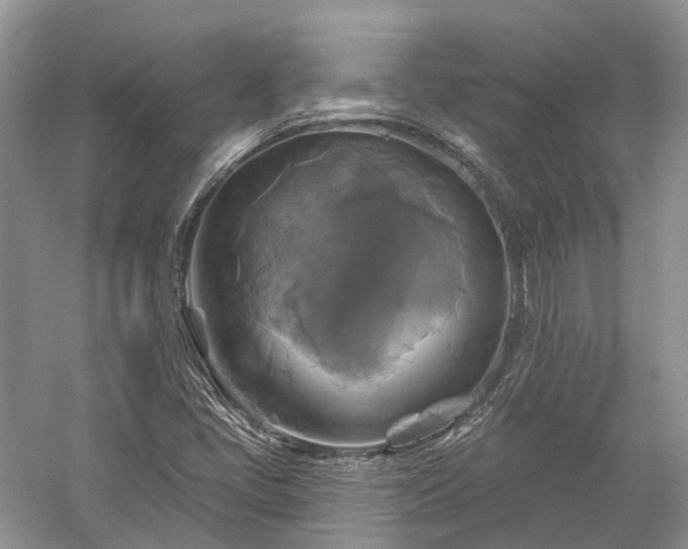 X0000059841405200510241425