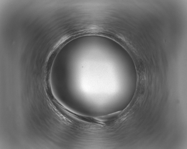 X0000059841410200510241425