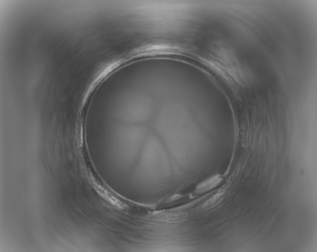 X0000059841413200510241426
