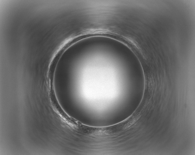 X0000059841414200510241426