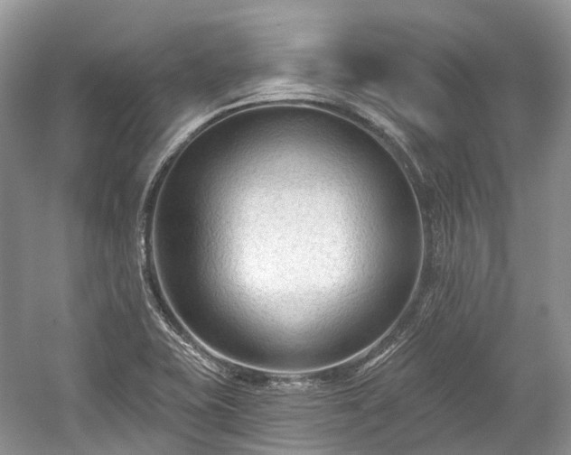X0000059841415200510241426