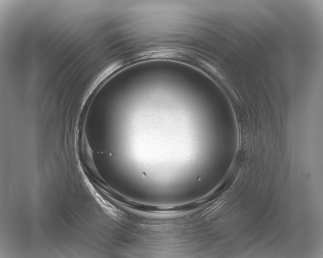 X0000059841426200510241426
