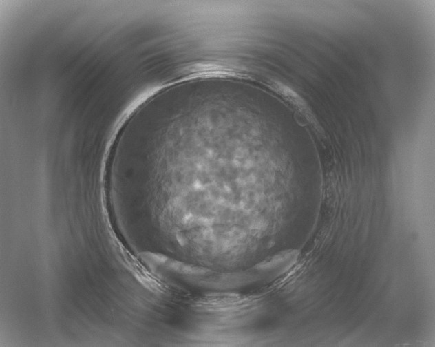 X0000059841427200510241426