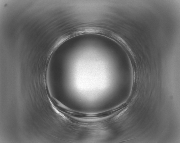 X0000059841433200510241426