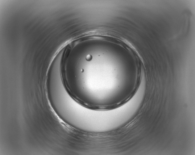 X0000059841434200510241426