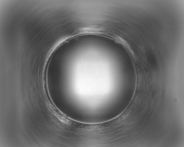 X0000059841435200510241426
