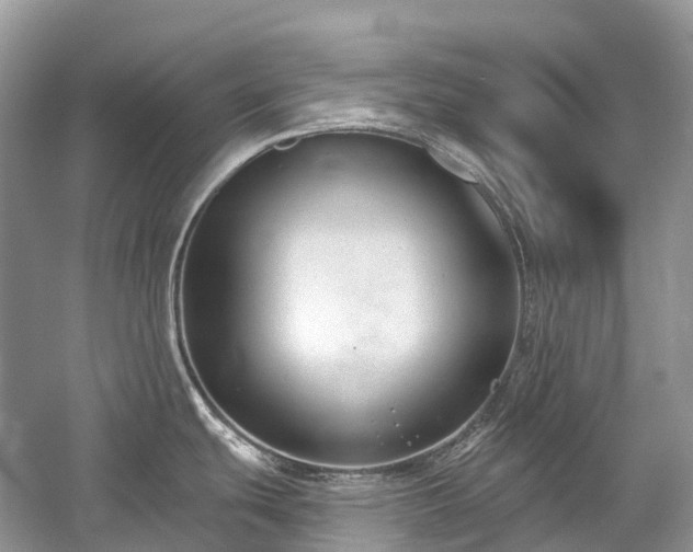 X0000059841439200510241426