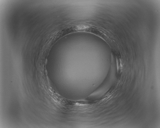 X0000059841441200510241425