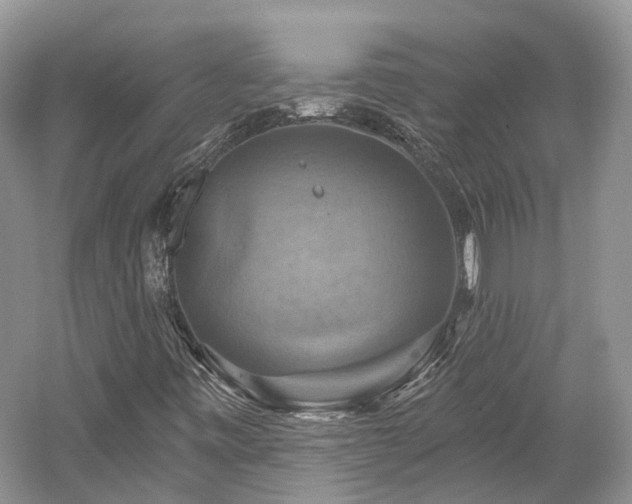 X0000059841443200510241425