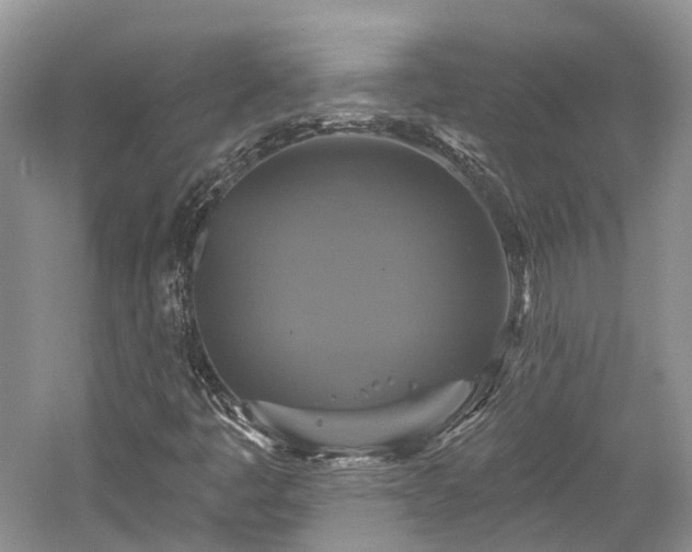 X0000059841445200510241425