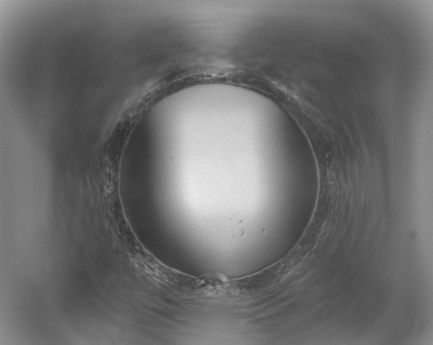 X0000059841447200510241425