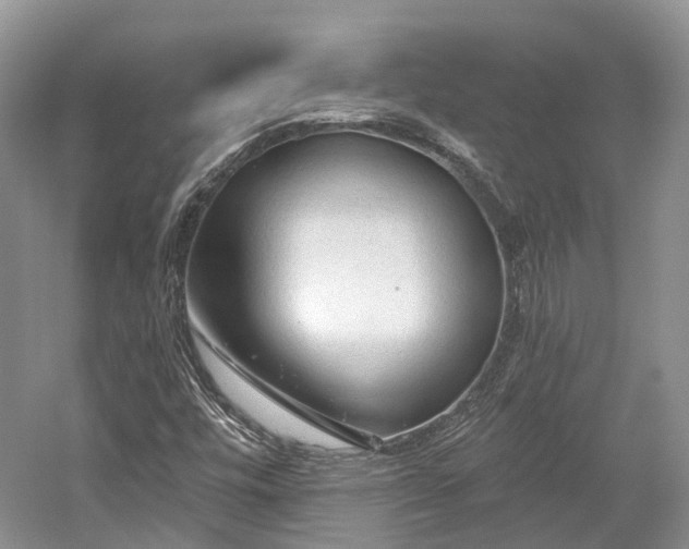 X0000059841448200510241425