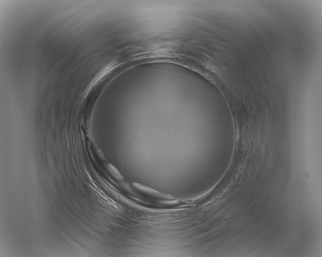 X0000059841450200510241425