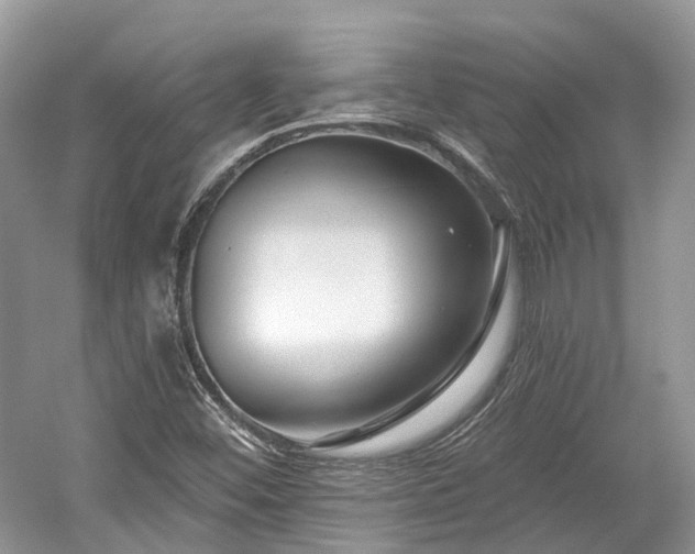 X0000059841452200510241425