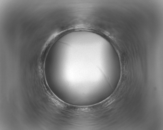 X0000059841454200510241425