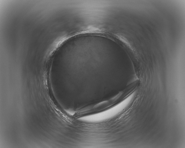 X0000059841455200510241425