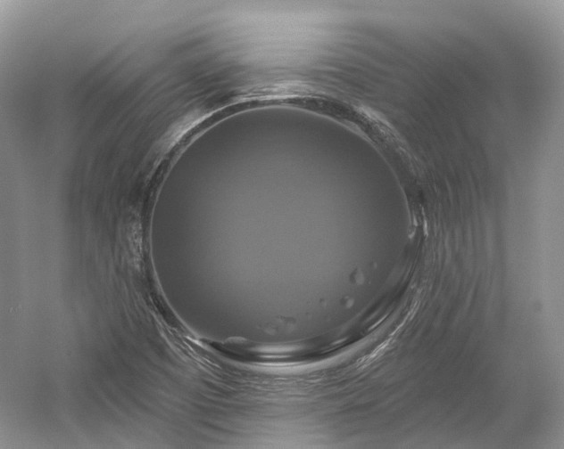 X0000059841457200510241425