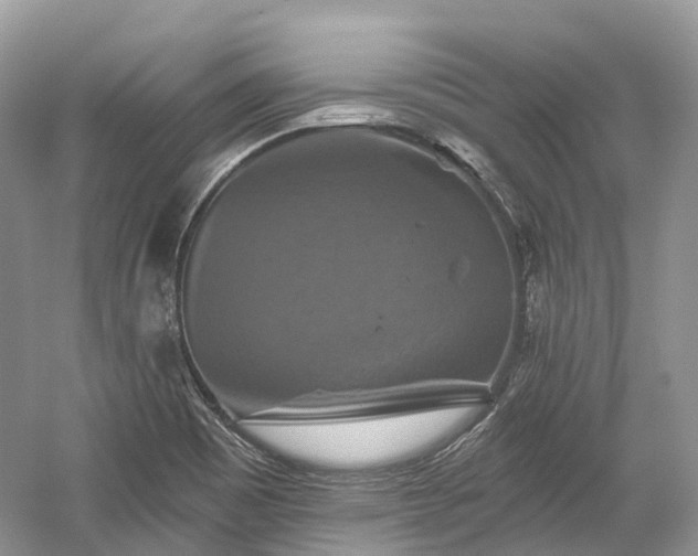 X0000059841465200510241425