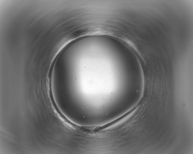 X0000059841476200510241425