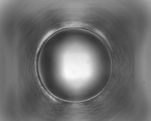 X0000059841480200510241425