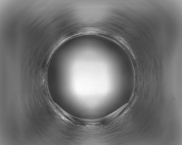 X0000059841481200510241424