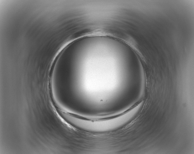 X0000059841484200510241424