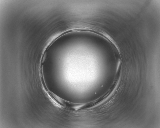 X0000059841485200510241424