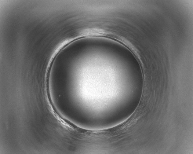 X0000059841488200510241424
