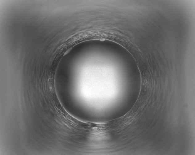 X0000059841490200510241424