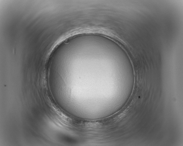 X0000059841498200510241424