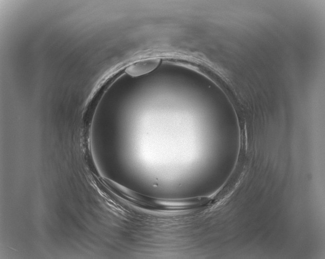 X0000059841501200510241424