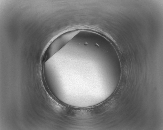 X0000059841508200510241424