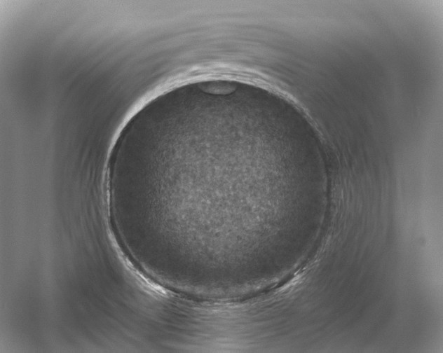 X0000059841522200510241424