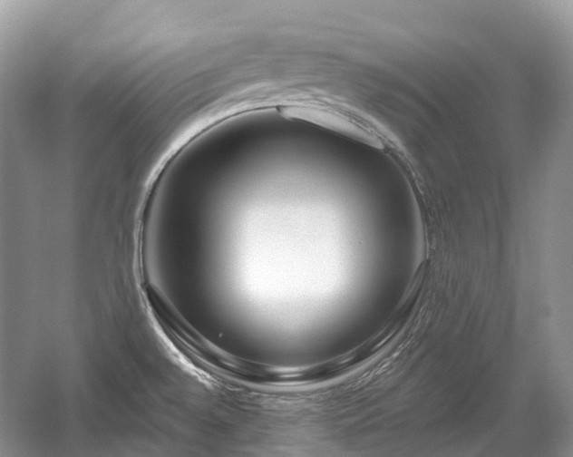 X0000059841528200510241424